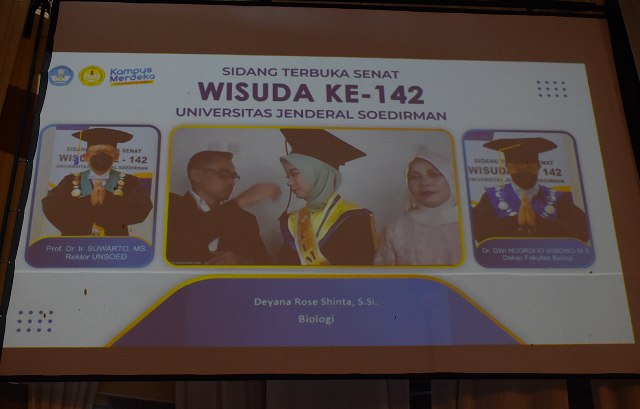 wisuda