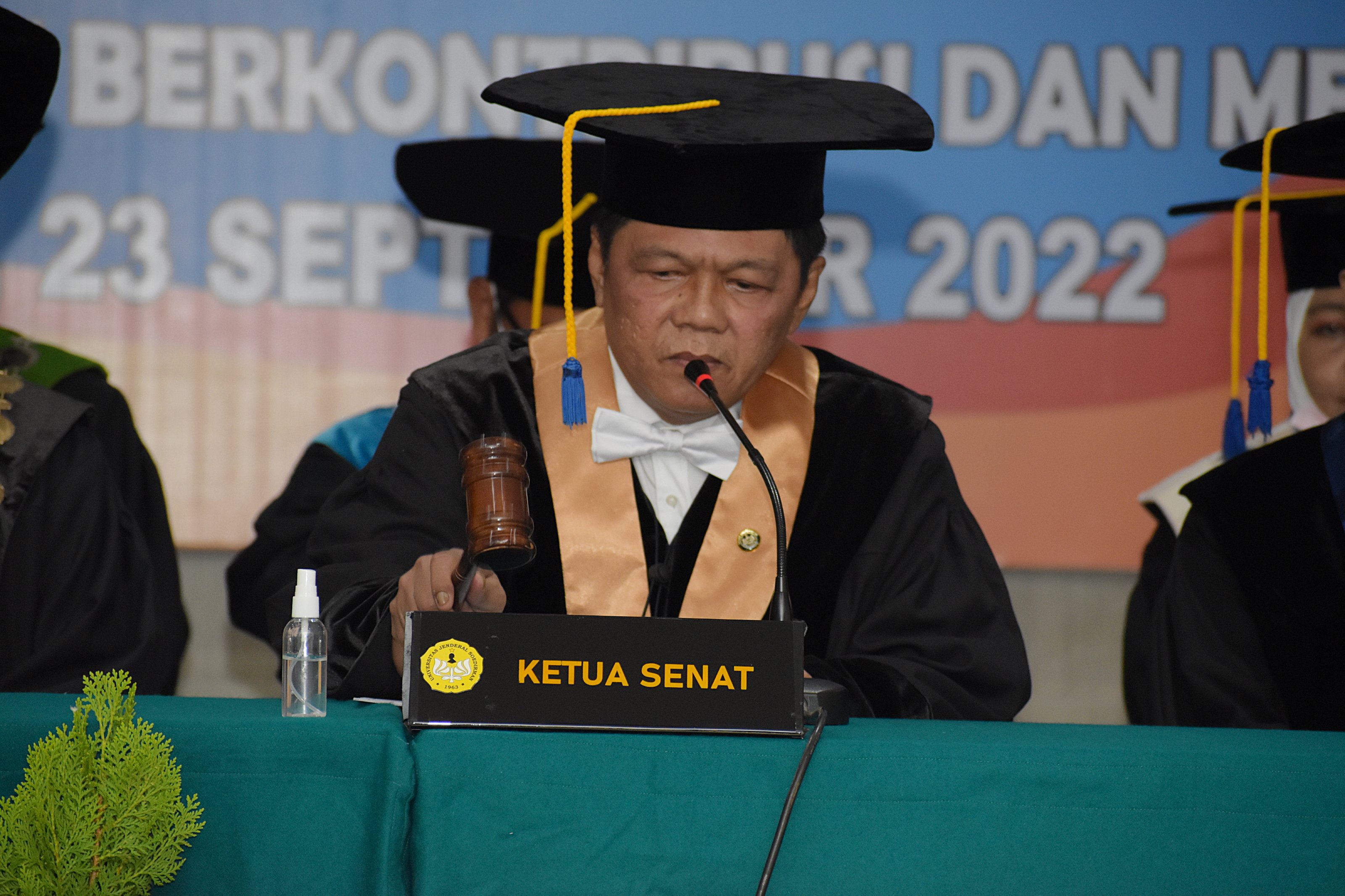 ketua senat