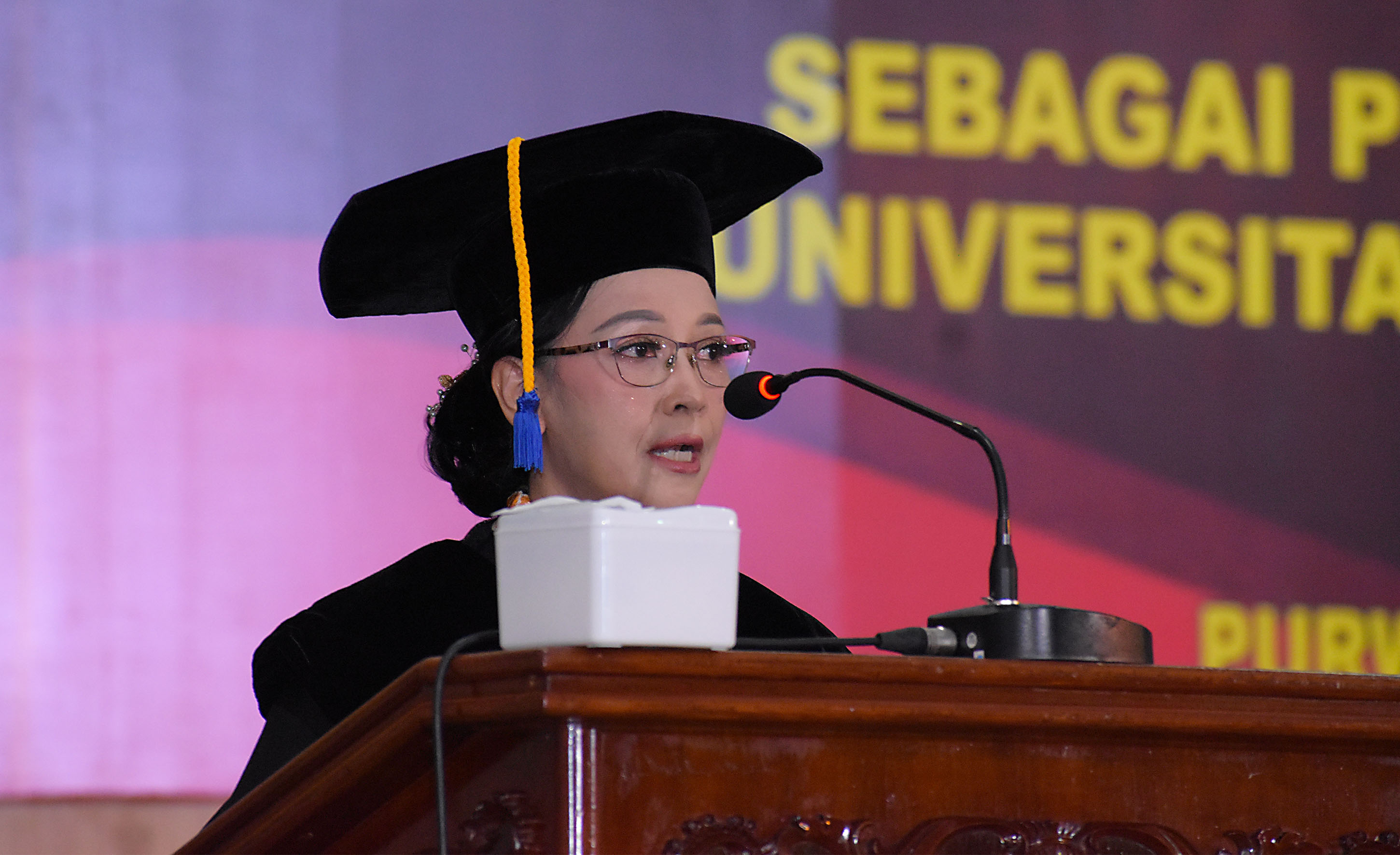 Prof.Dr.Dra. Idha Sihwaningrum, M.Sc.St 