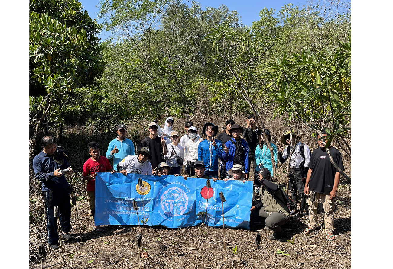 mangrove