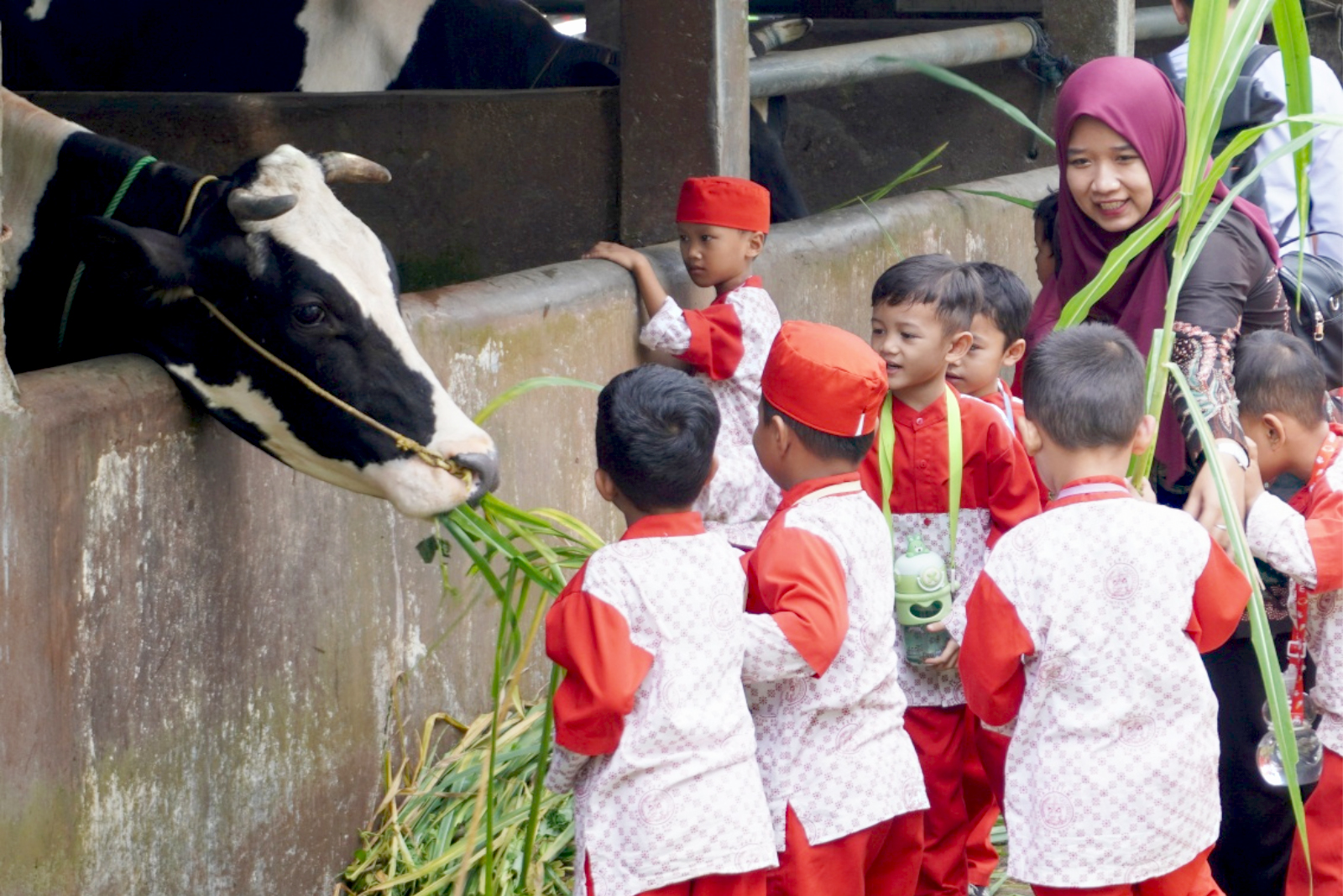 Teaching & Experimental Farm 