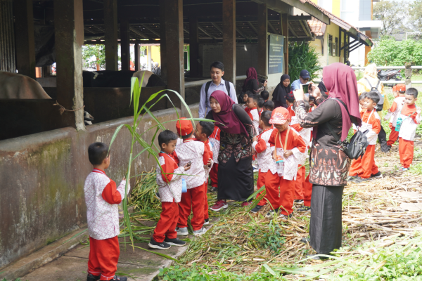 Teaching & Experimental Farm 