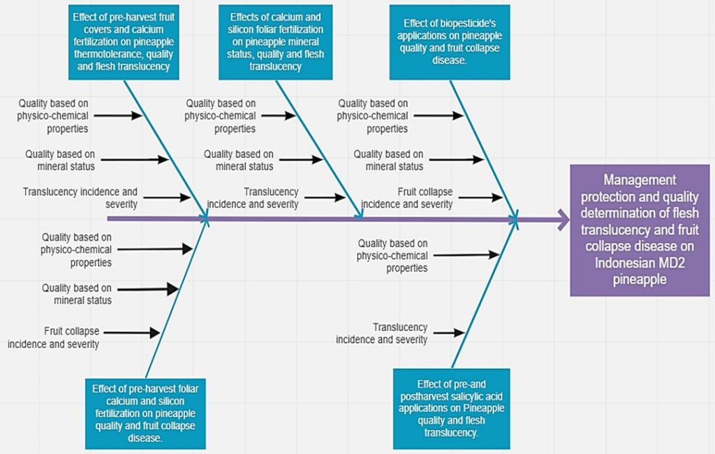 roadmap penelitian